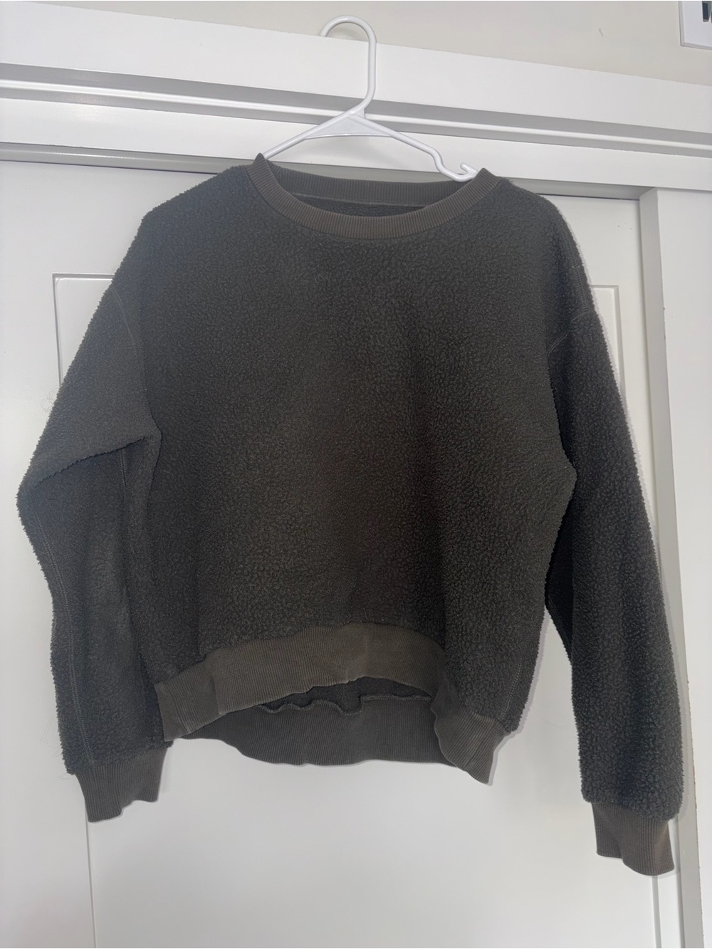 Everlane dark green teddy sweatshirt medium